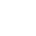 program intensywny