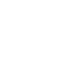 program szybki 